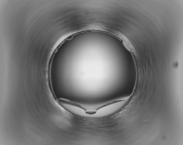 X0000090761339200708101739