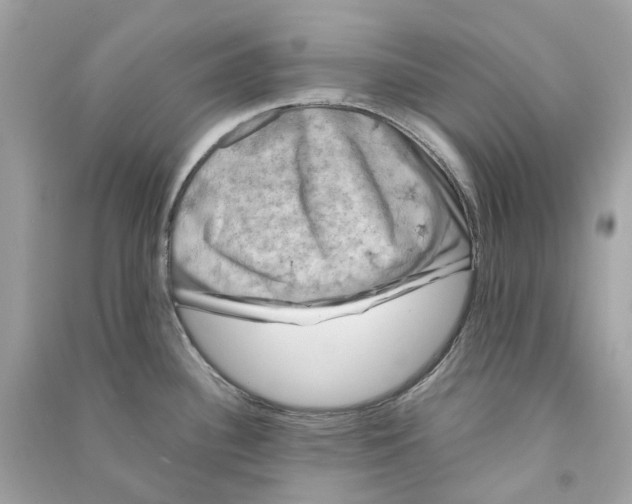 X0000090761340200708101739