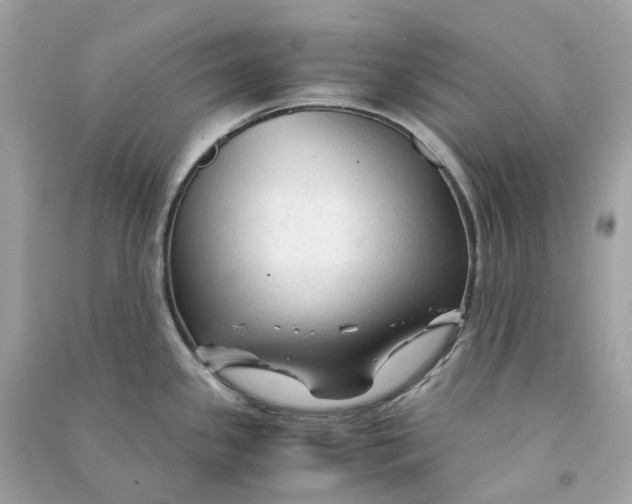 X0000090761341200708101739