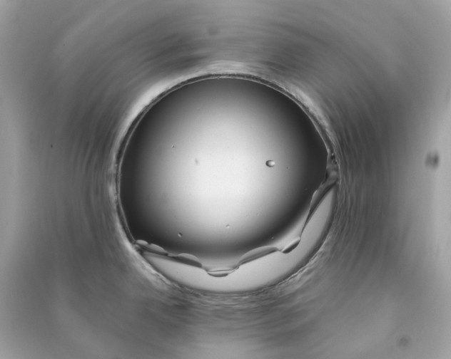 X0000090761342200708101739