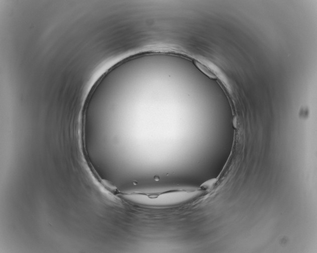 X0000090761343200708101739