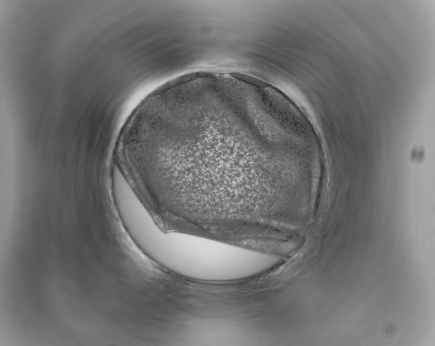 X0000090761344200708101739