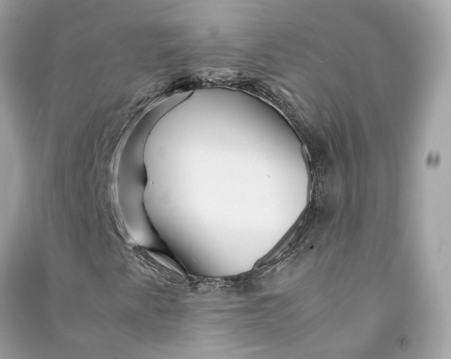 X0000090761345200708101738