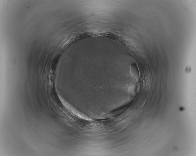 X0000090761346200708101738