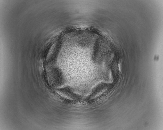 X0000090761347200708101738