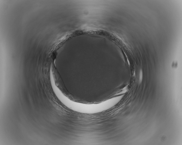 X0000090761348200708101738