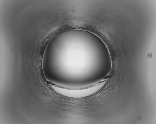 X0000090761349200708101738