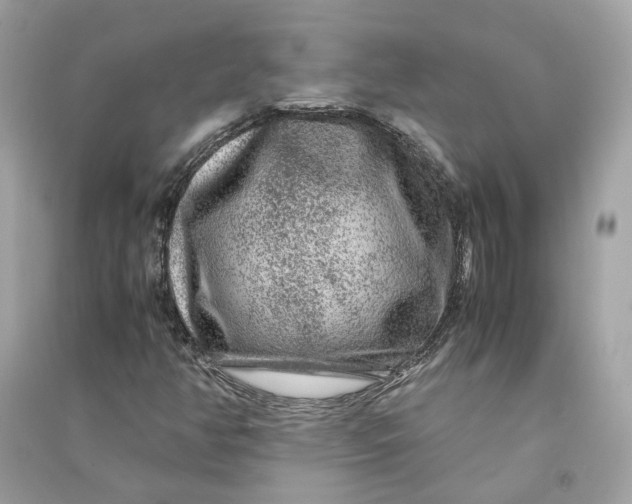 X0000090761350200708101738