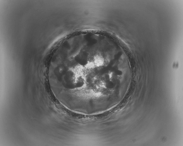 X0000090761351200708101738