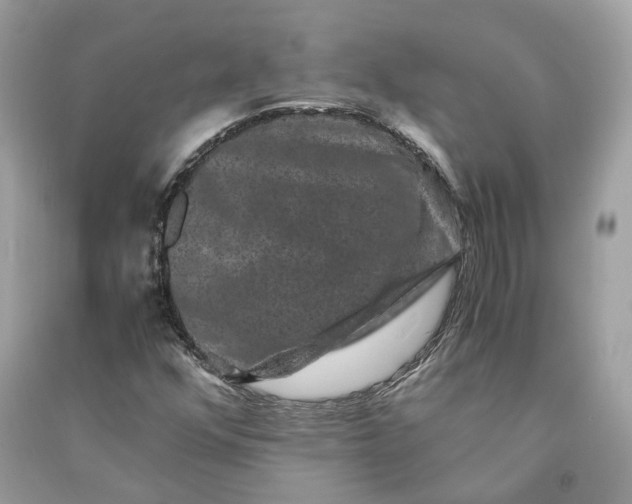 X0000090761352200708101738