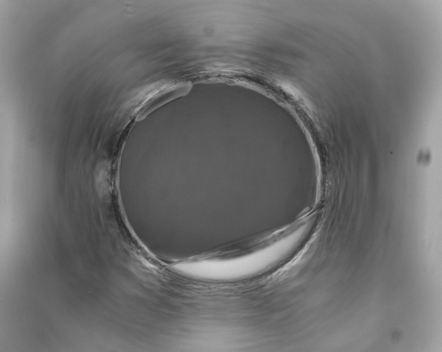 X0000090761353200708101738