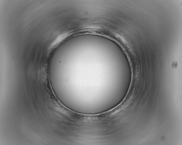 X0000090761354200708101738