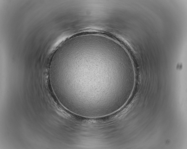 X0000090761355200708101738