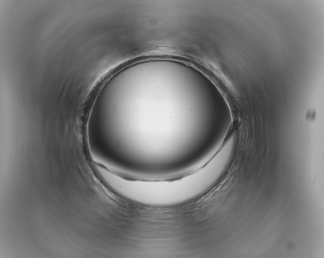 X0000090761356200708101738