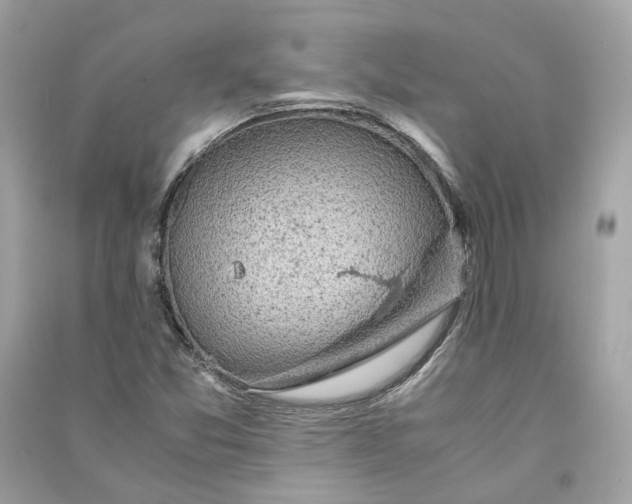 X0000090761357200708101738