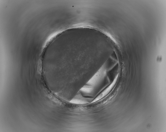 X0000090761358200708101738