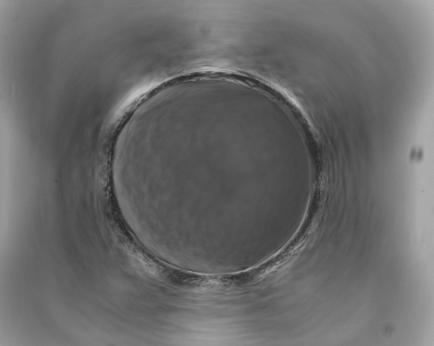 X0000090761359200708101738