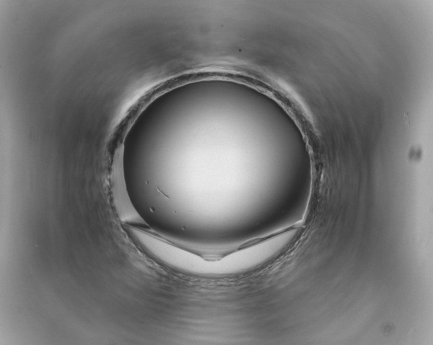 X0000090761360200708101738