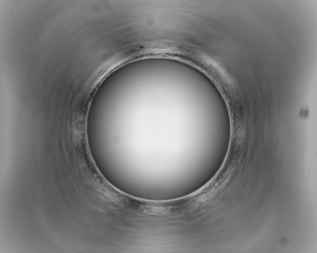 X0000090761361200708101738