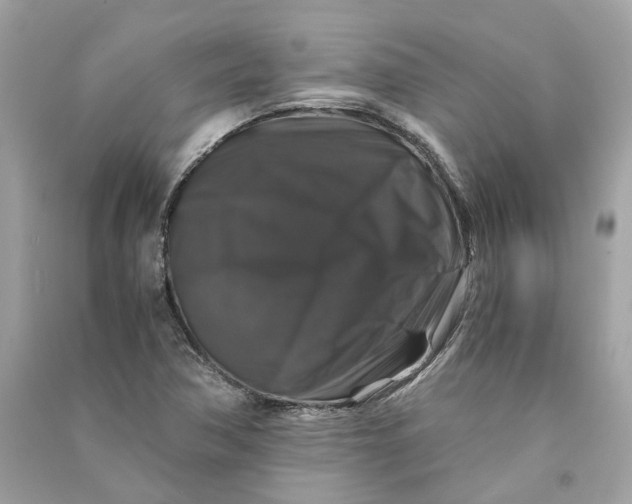 X0000090761362200708101738