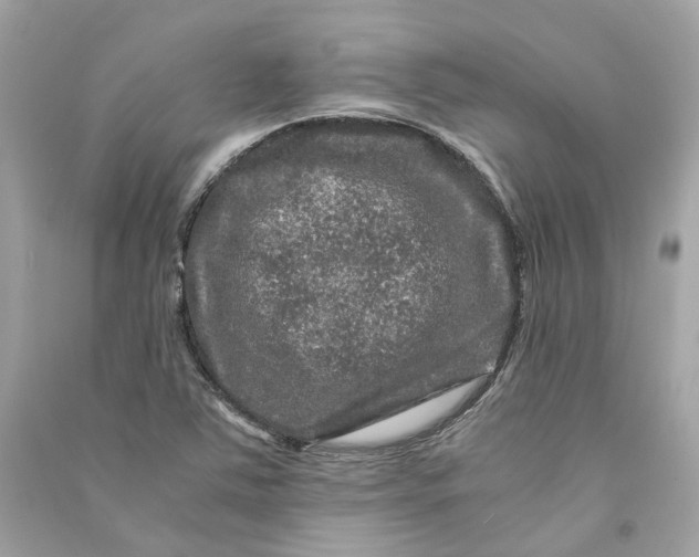 X0000090761363200708101738