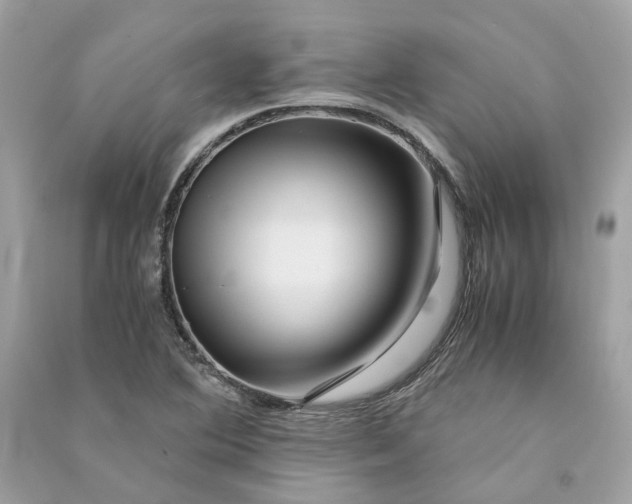 X0000090761364200708101738