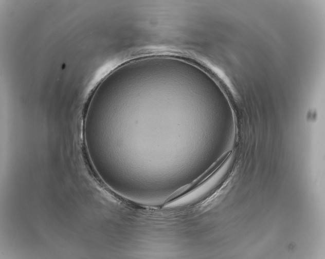 X0000090761365200708101738