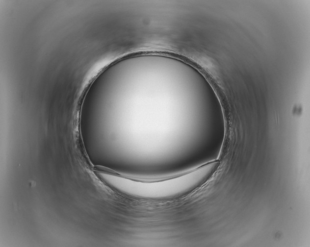 X0000090761366200708101738