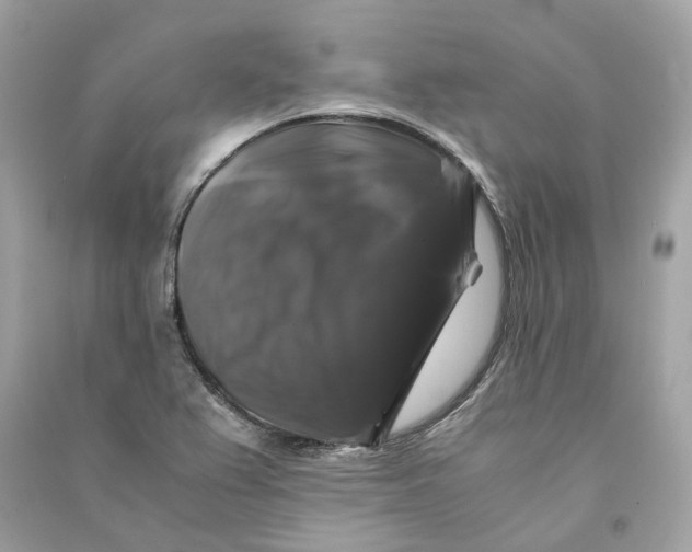 X0000090761367200708101738