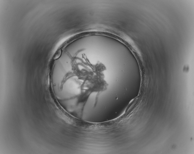 X0000090761368200708101738