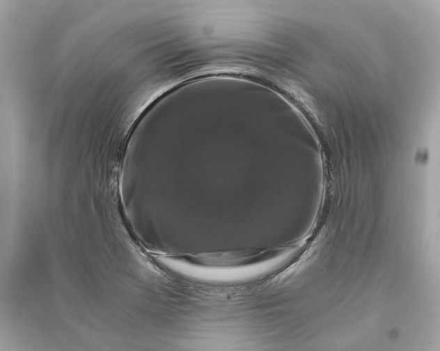 X0000090761369200708101738