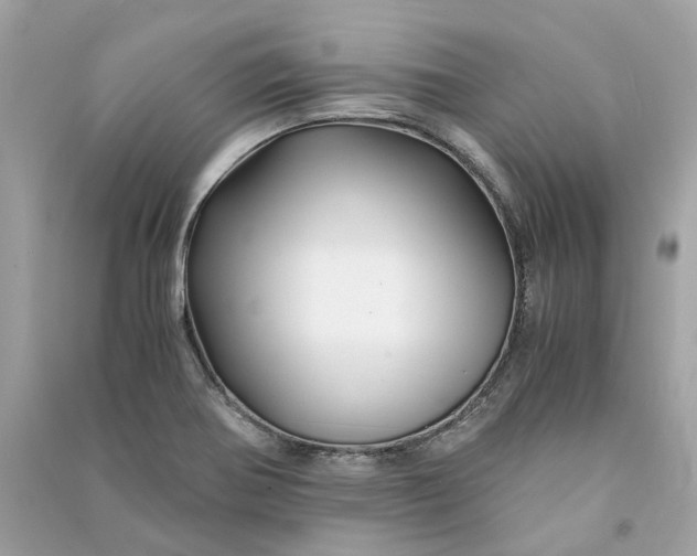 X0000090761370200708101738