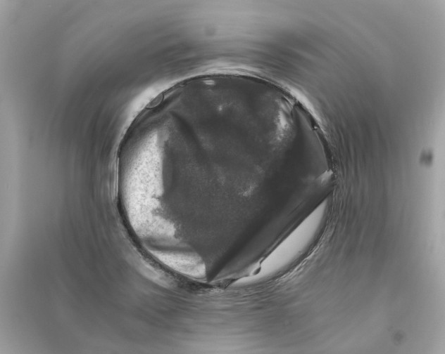 X0000090761371200708101738