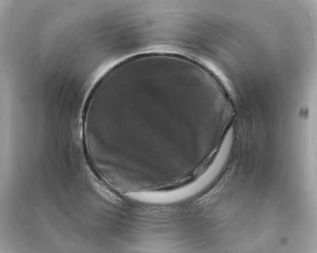 X0000090761372200708101738