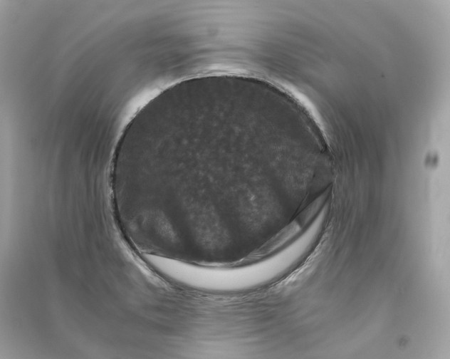 X0000090761373200708101738