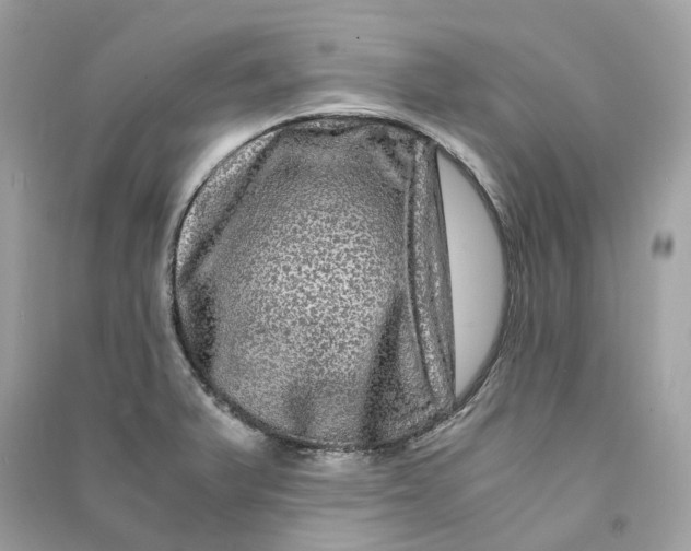 X0000090761375200708101737