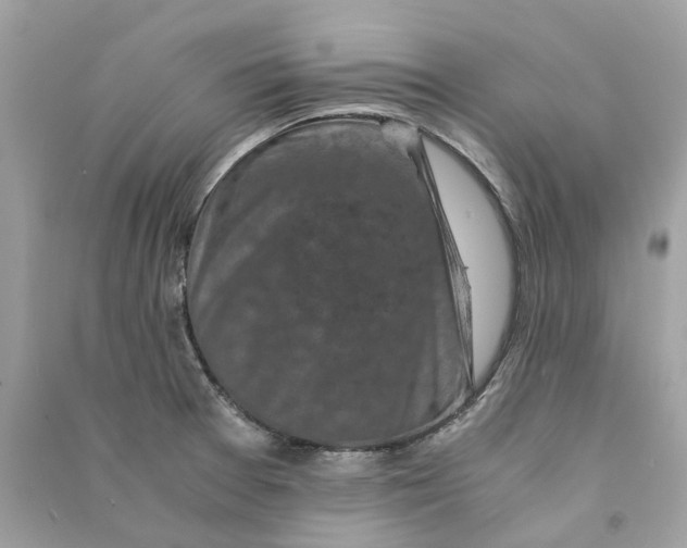 X0000090761377200708101737