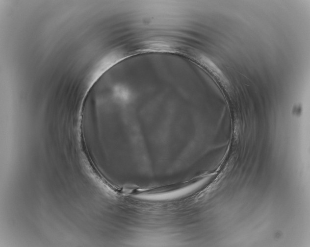 X0000090761378200708101737