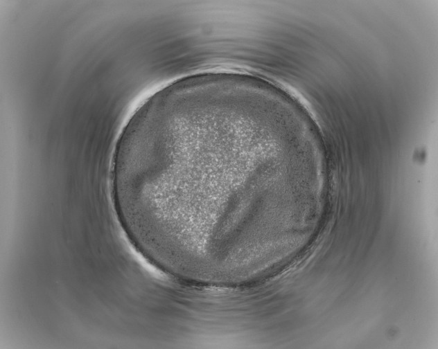 X0000090761379200708101737