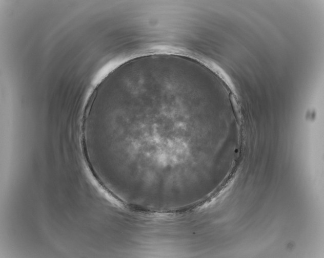 X0000090761381200708101737