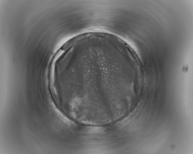 X0000090761382200708101737