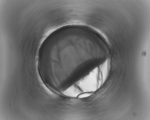 X0000090761383200708101737