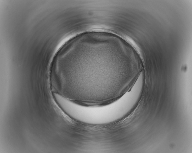 X0000090761384200708101737