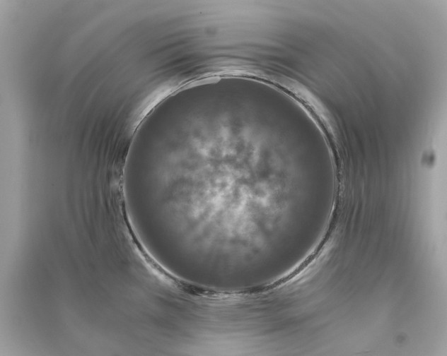 X0000090761385200708101737