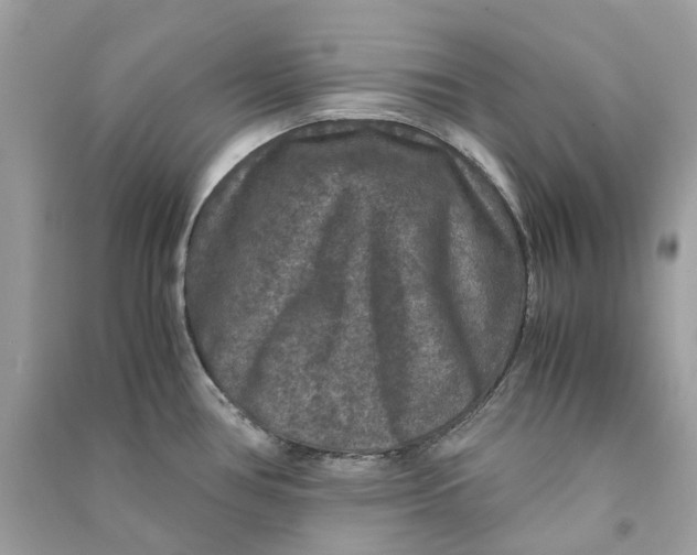 X0000090761386200708101737