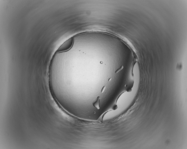 X0000090761387200708101737