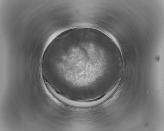 X0000090761389200708101737