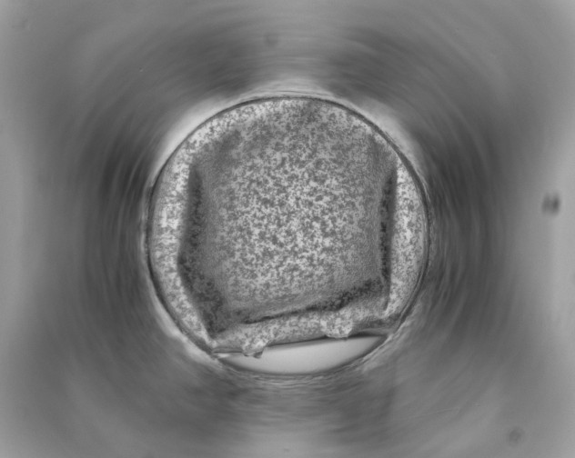 X0000090761390200708101737