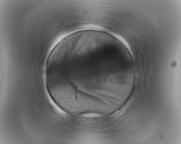 X0000090761391200708101737