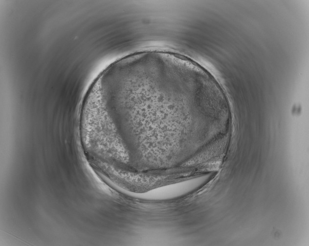 X0000090761392200708101737